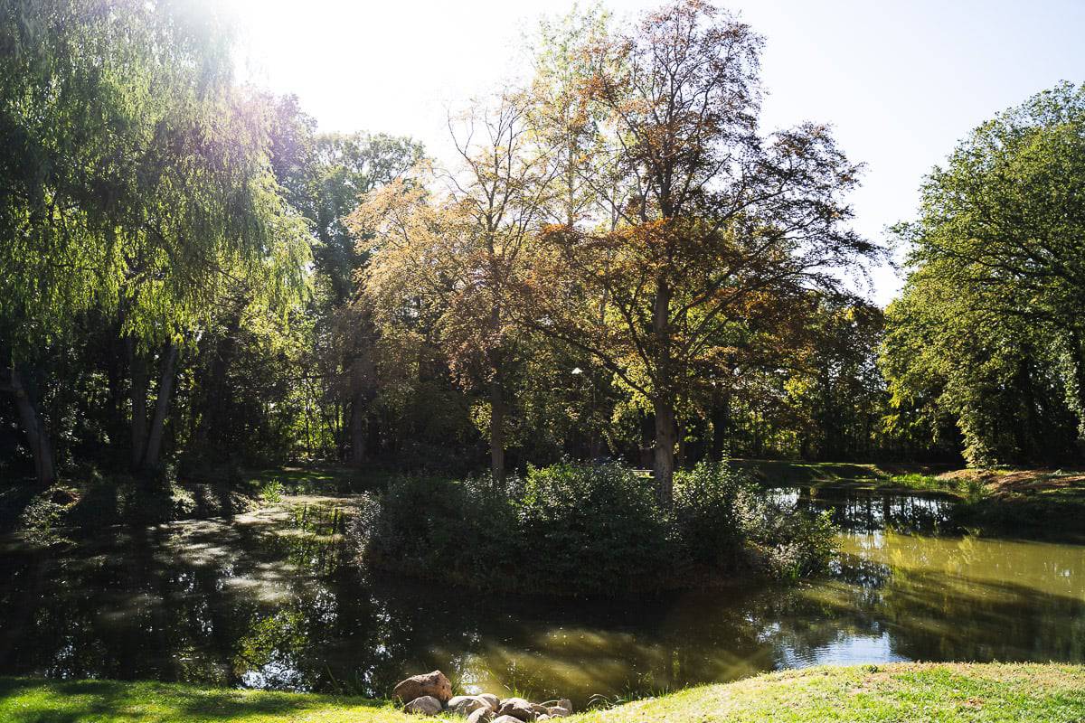 Teich Hochzeit Schönfeld