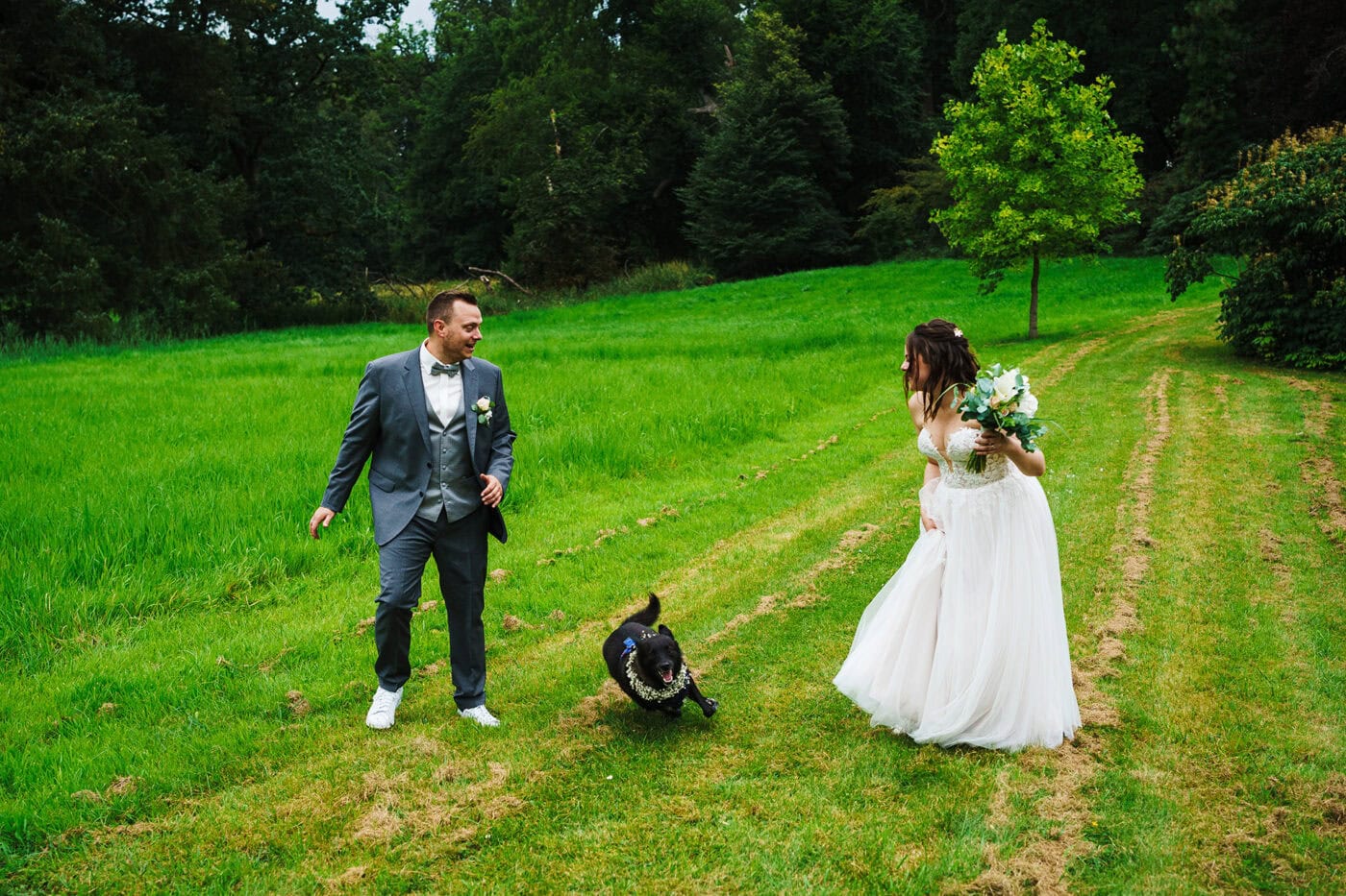 Hochzeit Gut Bossee Hund Fotobomb